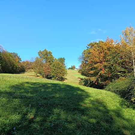 Agriturismo Fattoria Ortoalpino Trichiana Exteriér fotografie