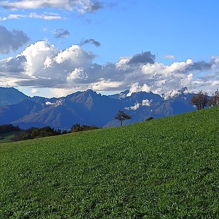 Agriturismo Fattoria Ortoalpino Trichiana Exteriér fotografie