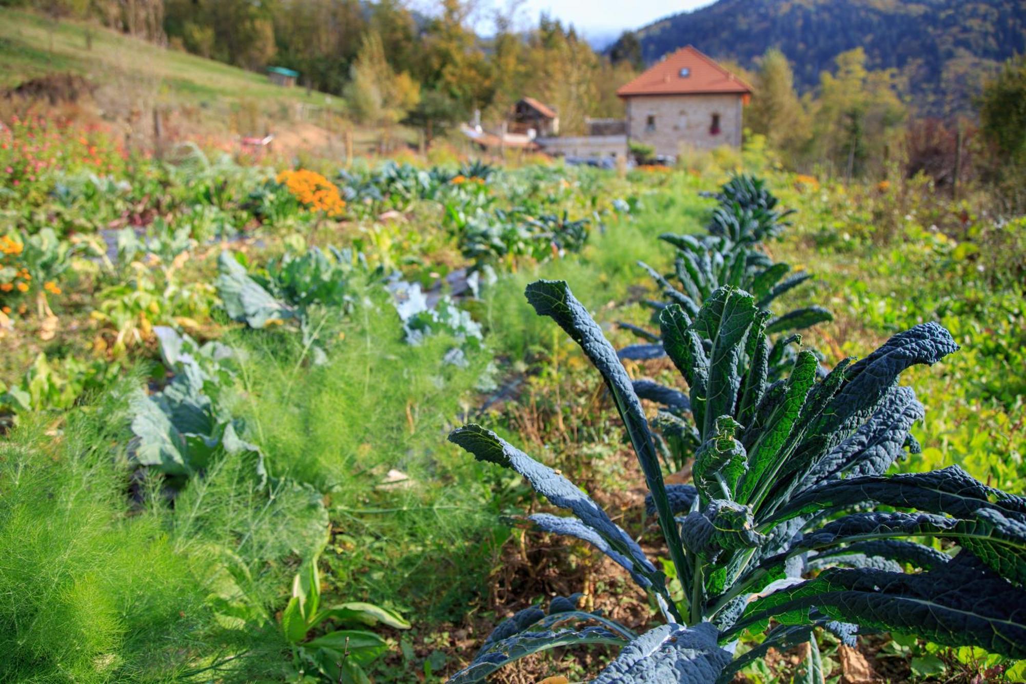 Agriturismo Fattoria Ortoalpino Trichiana Exteriér fotografie