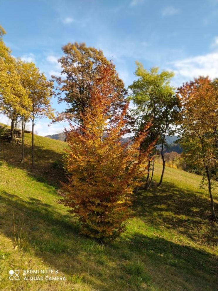 Agriturismo Fattoria Ortoalpino Trichiana Exteriér fotografie