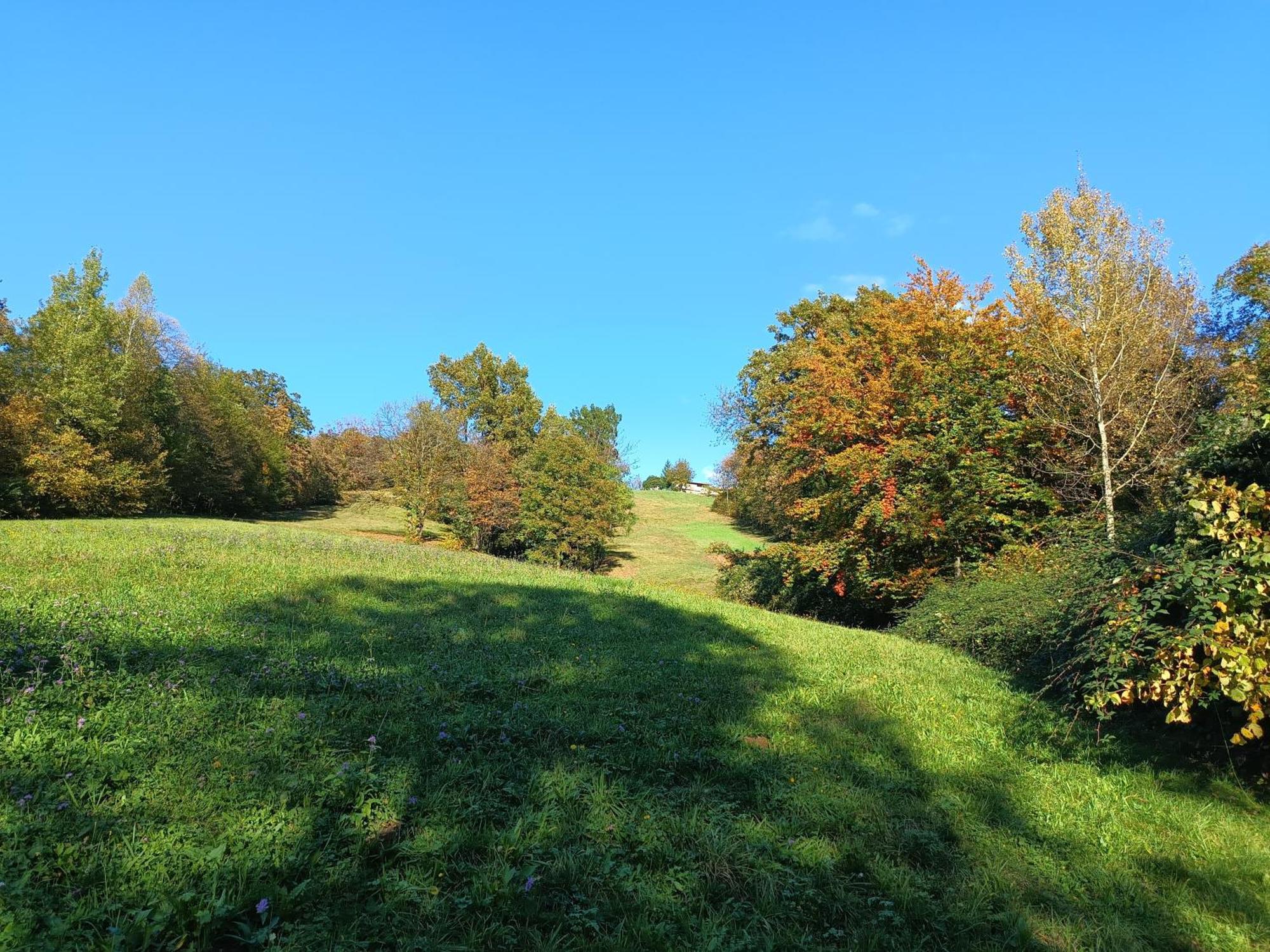 Agriturismo Fattoria Ortoalpino Trichiana Exteriér fotografie