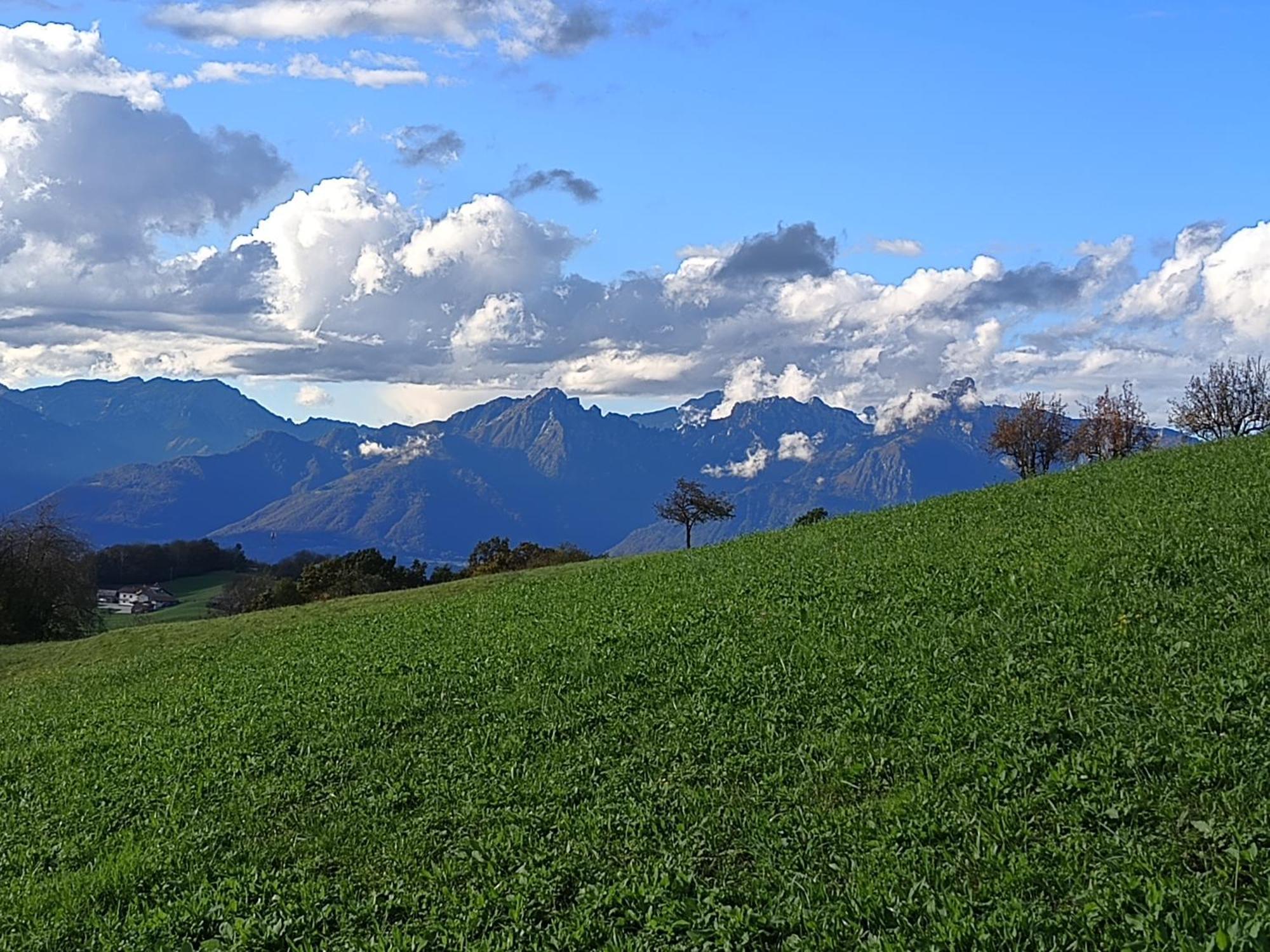 Agriturismo Fattoria Ortoalpino Trichiana Exteriér fotografie