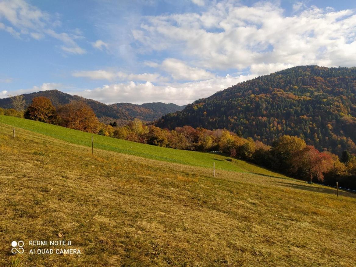 Agriturismo Fattoria Ortoalpino Trichiana Exteriér fotografie