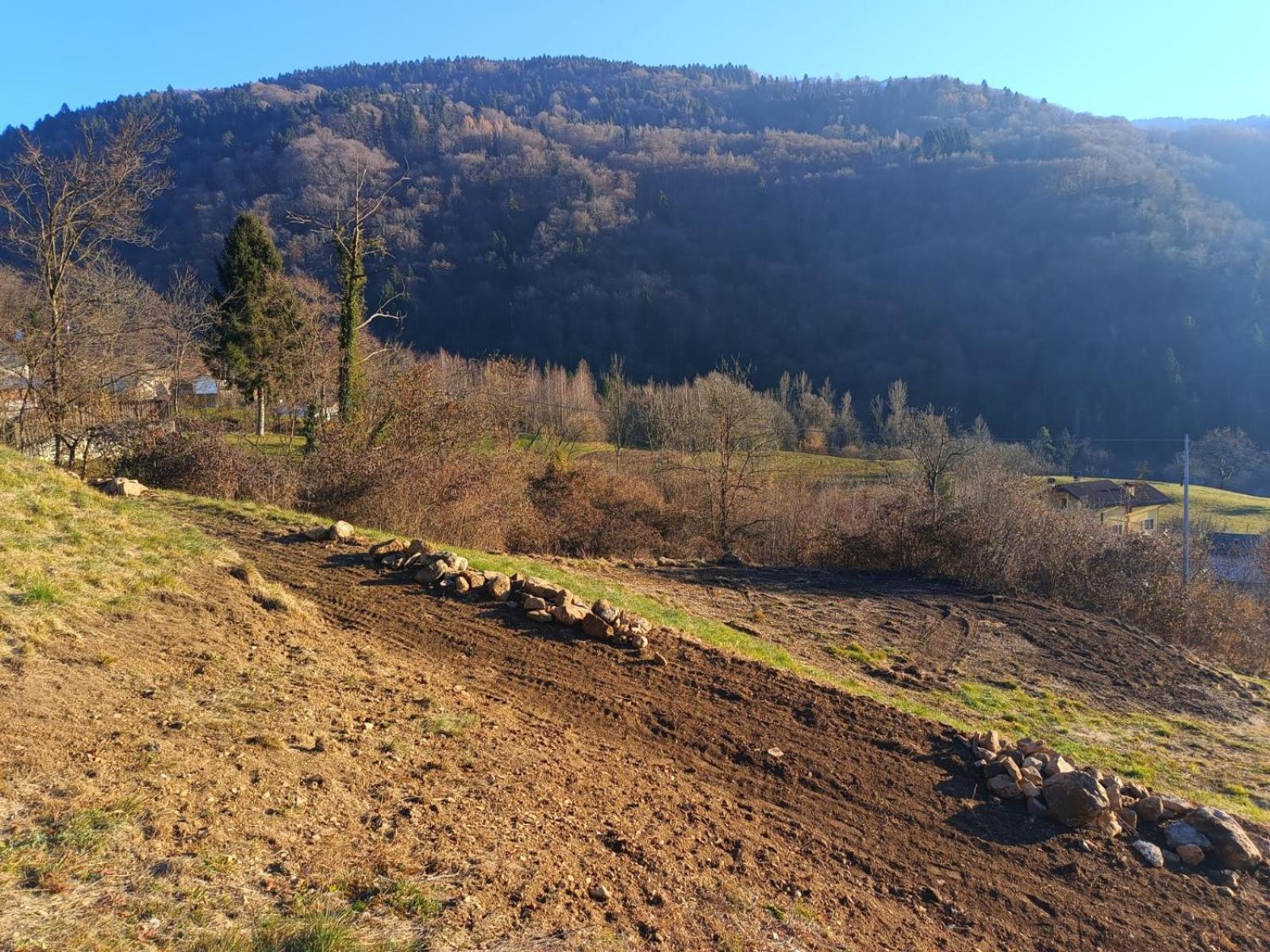 Agriturismo Fattoria Ortoalpino Trichiana Exteriér fotografie