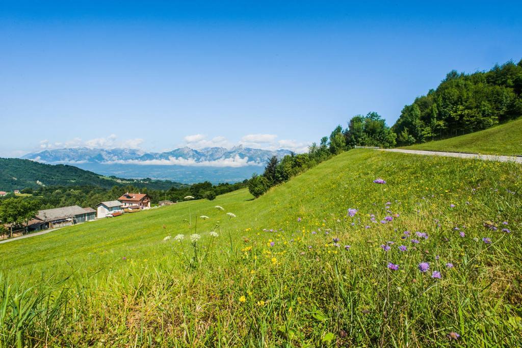 Agriturismo Fattoria Ortoalpino Trichiana Exteriér fotografie