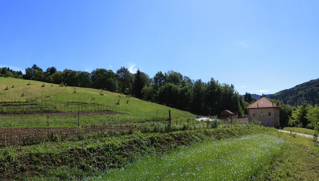 Agriturismo Fattoria Ortoalpino Trichiana Exteriér fotografie